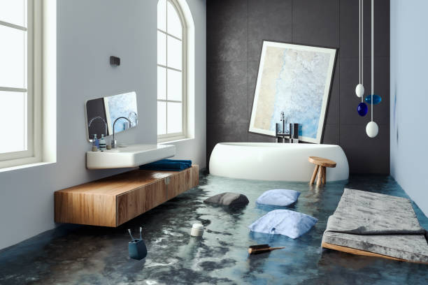 Best Professional water damage repair  in Copperas Cove, TX