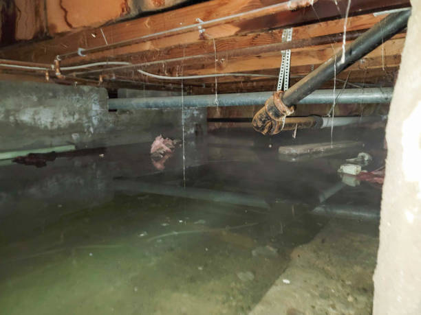 , TX Water damage restoration Company