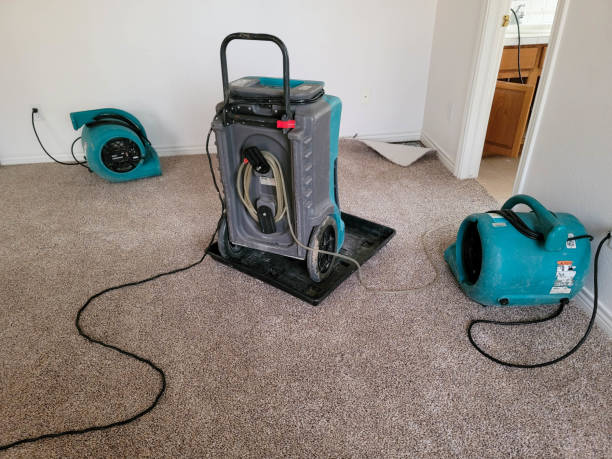 Best Water damage cleanup near me  in Copperas Cove, TX