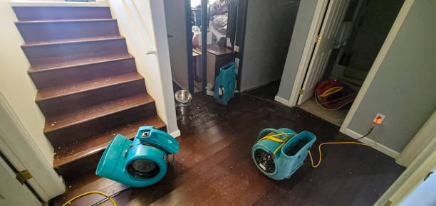 Best Water damage restoration near me  in Copperas Cove, TX