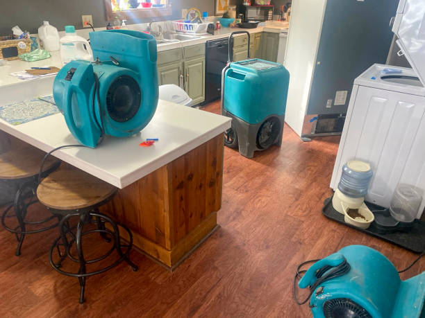 Best Ceiling water damage repair  in Copperas Cove, TX
