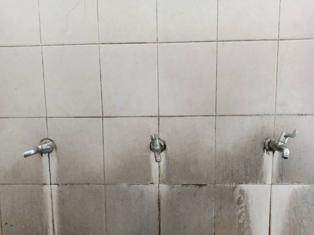 Best Local water damage restoration  in Copperas Cove, TX