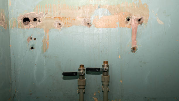 Best Water damage contractors near me  in Copperas Cove, TX